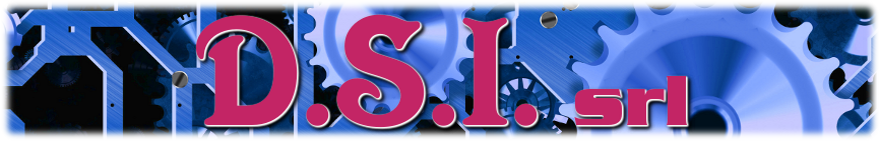 DSI srl Torino